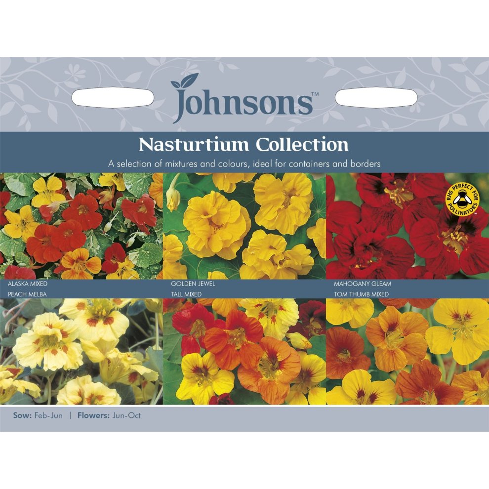 Pictorial seed pack featuring vibrant nasturtium flowers in shades of red, yellow, and peach, with descriptions of different mixes for containers and borders.
