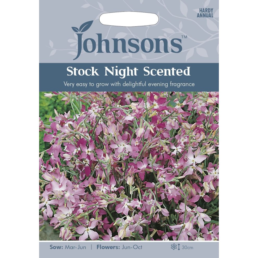 Pictorial seed packet featuring Johnsons Seeds branding, showcasing pink and purple Stock Night Scented flowers with details on sowing and flowering times.