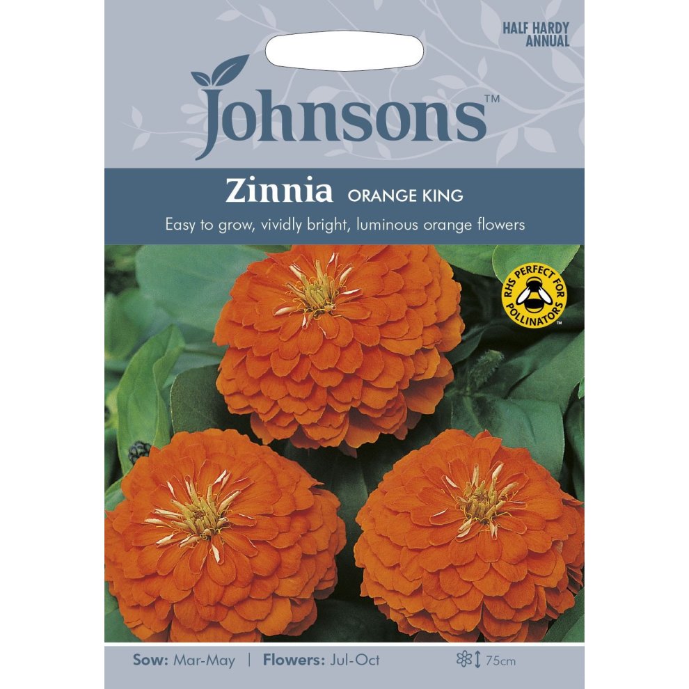 Bright orange Zinnia flowers featured on a seed packet, with the title "Johnsons Zinnia Orange King," showcasing vibrant blooms and details about sowing and flowering times.