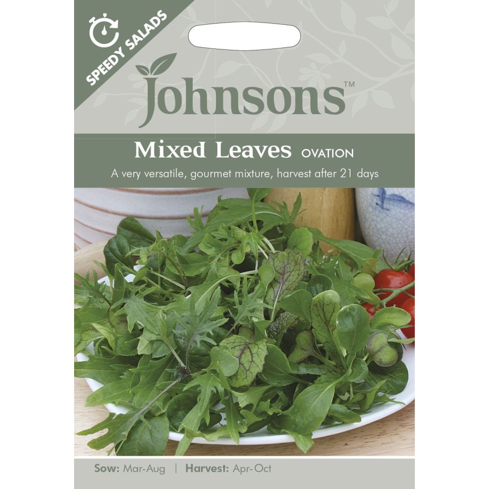 Packaged seeds for Johnsons Mixed Leaves - Ovation, featuring a vibrant green assortment of leafy greens with a white background and a plate of fresh salad leaves.