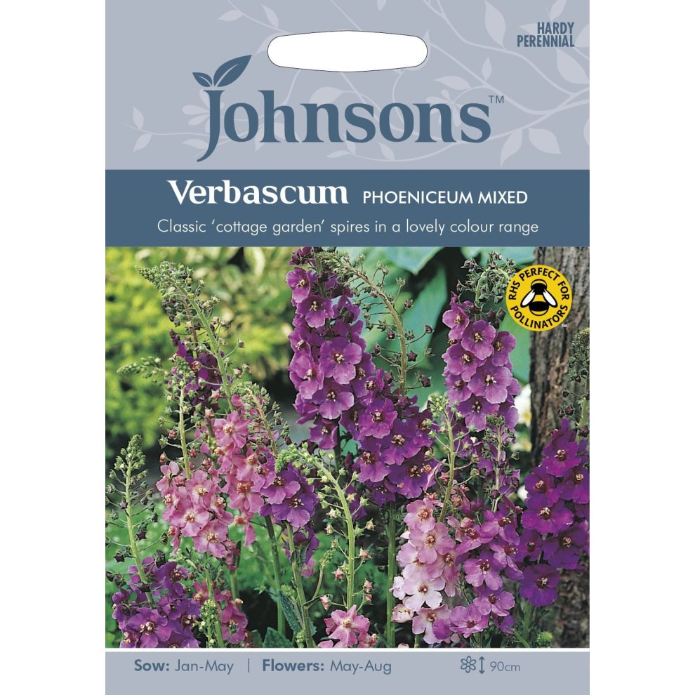 Pictorial seed pack featuring Verbascum Phoeniceum Mixed flowers in shades of purple and pink, with planting instructions and a garden background.