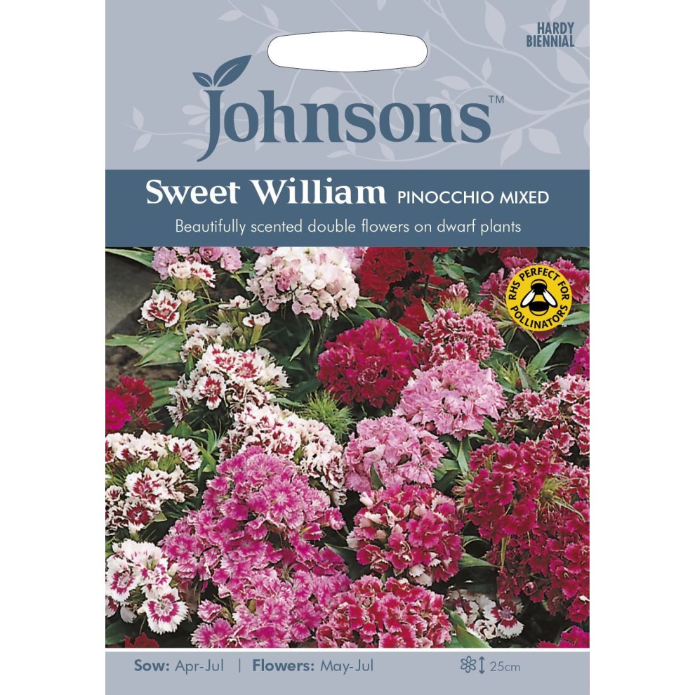 Colorful seed packet featuring Sweet William Dwarf Double Pinocchio Mixed flowers, with vibrant pink, white, and red blooms, labeled with planting instructions and Johnsons logo.