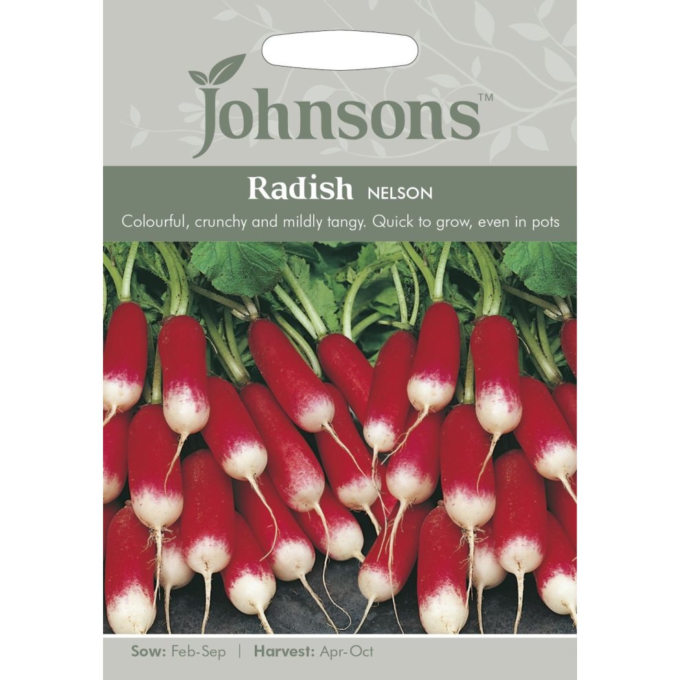 Pictorial seed packet featuring vibrant red and white radishes, labeled "Radish Nelson," with sowing and harvesting details, set against a light grey background.