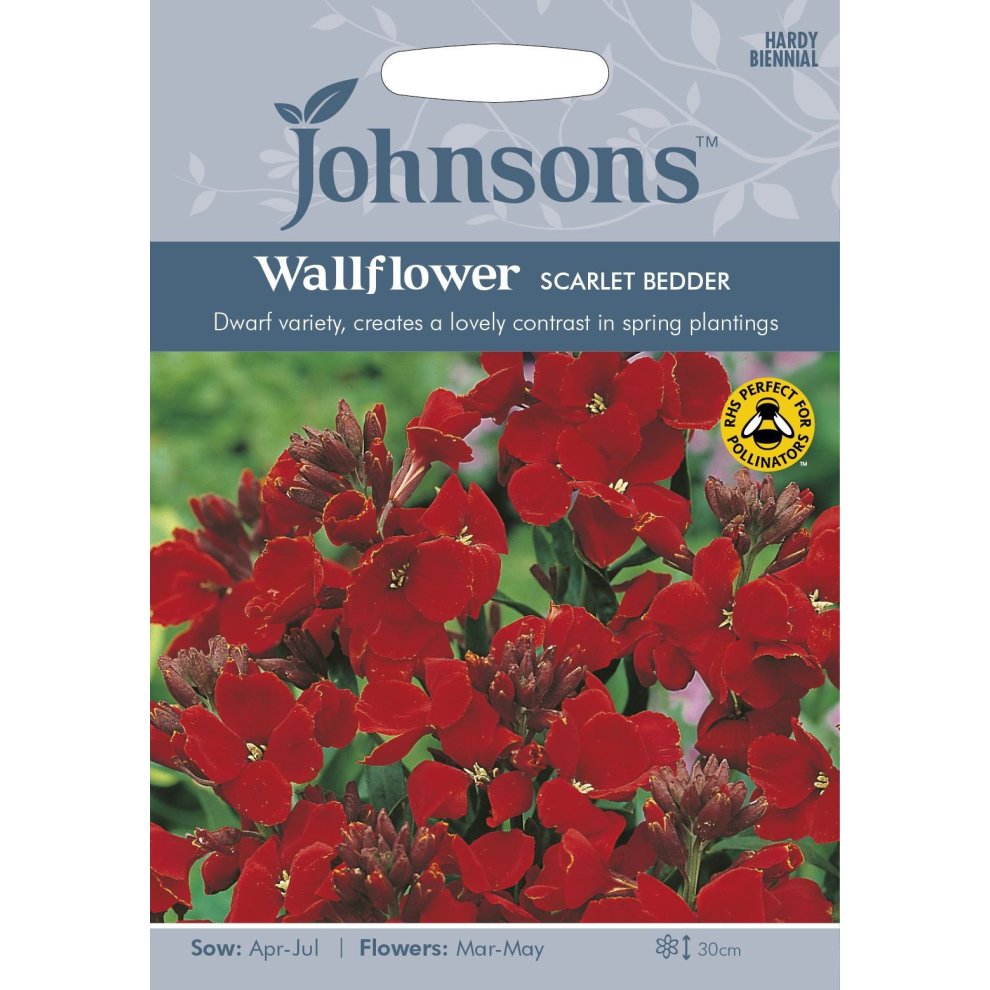 Packaging for Johnsons Seeds featuring vibrant red wallflower blossoms, labeled "Scarlet Bedder," with sowing and flowering instructions, and a pollinator-friendly icon.