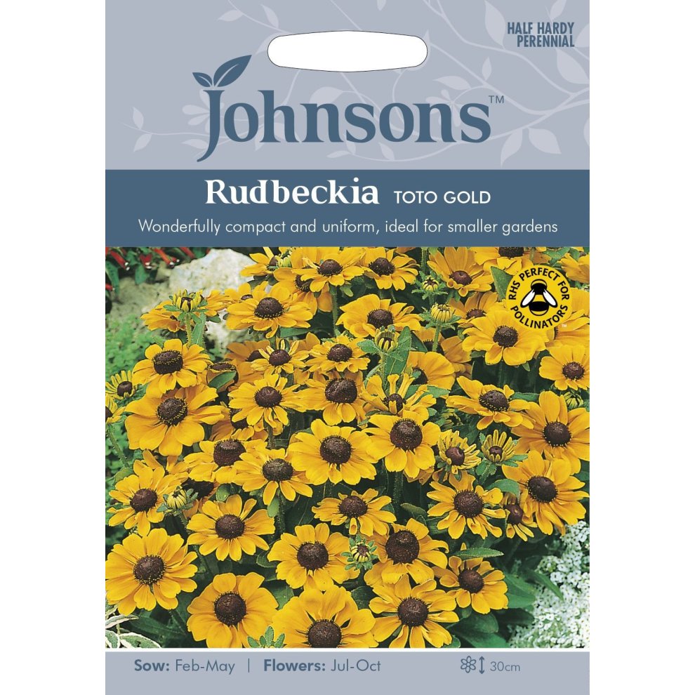 Bright yellow Rudbeckia Toto Gold flowers are featured on a seed packet, with a clear label from Johnsons Seeds, indicating sowing and flowering months.