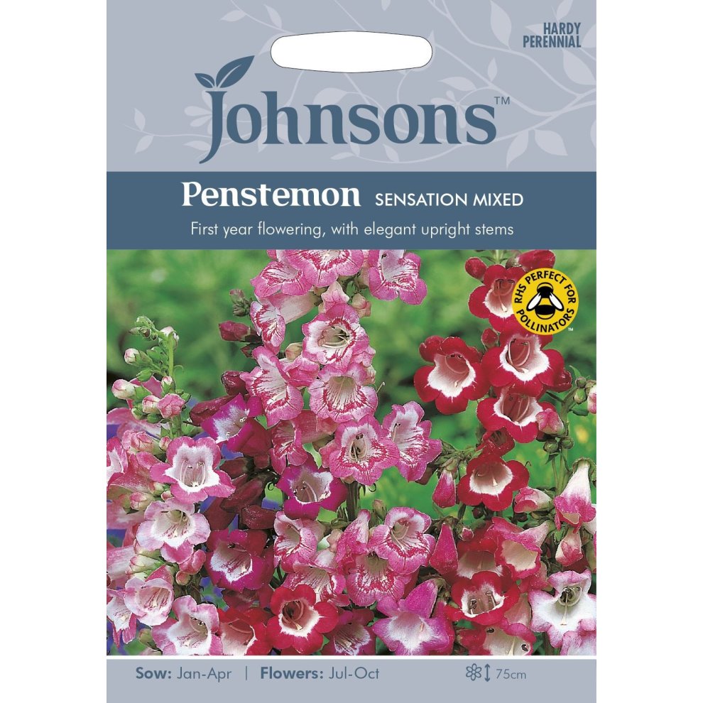 Colorful seed packet featuring Penstemon Sensation Mixed flowers in shades of pink and purple, with a clear sowing and flowering guide, and a pollinator-friendly symbol.