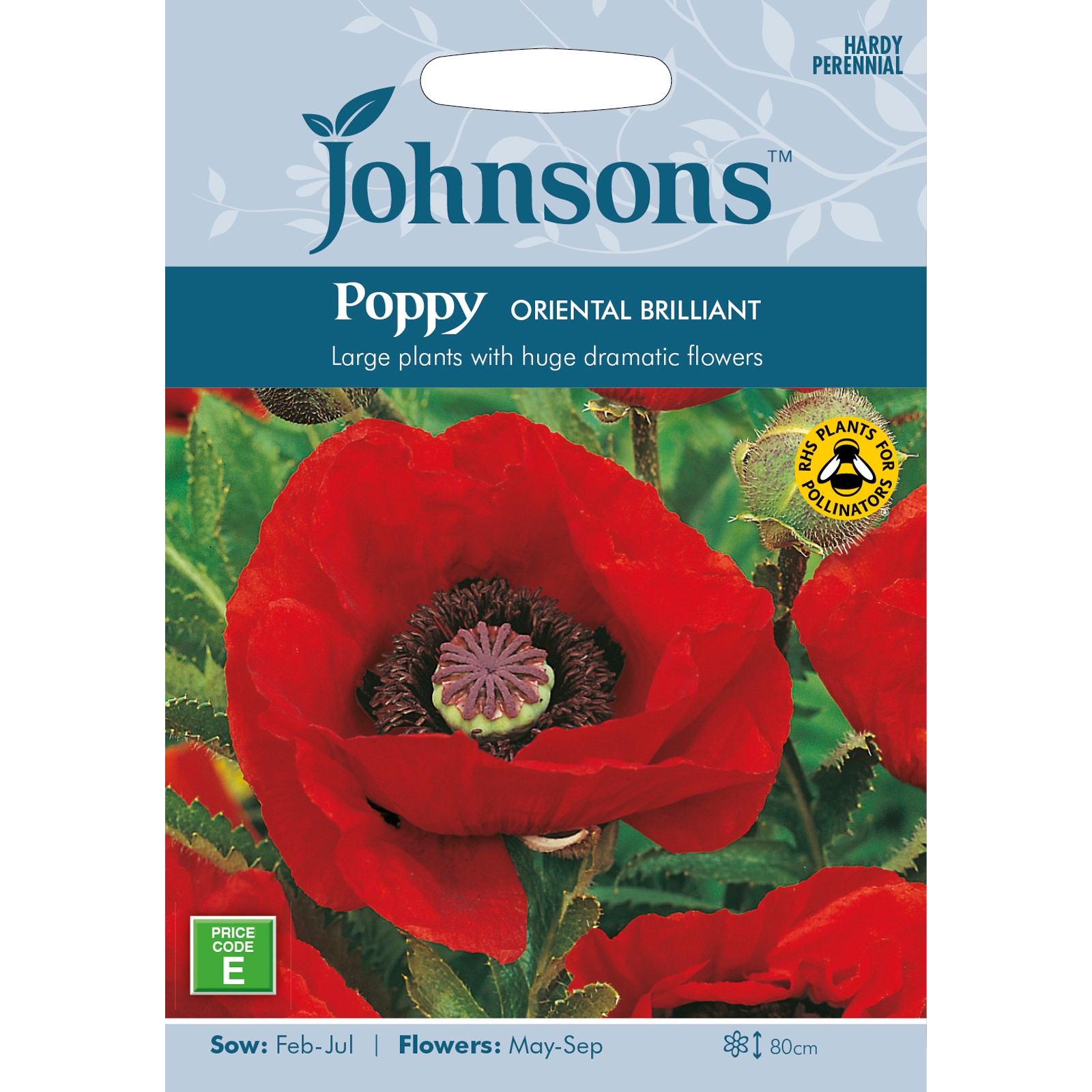 Bright red poppy flower on a seed packet, featuring the text "Johnsons Poppy Seeds - Oriental Brilliant," with details on sowing and flowering times, and a blue floral background.