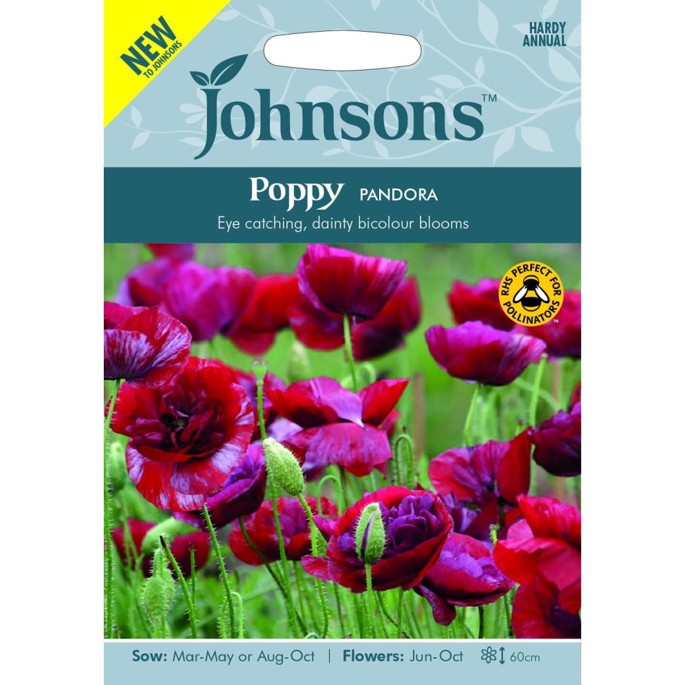 Brightly colored seed packet featuring "Johnsons - Poppy Pandora" with vibrant red and purple flowers, green foliage, and details on sowing and flowering times.