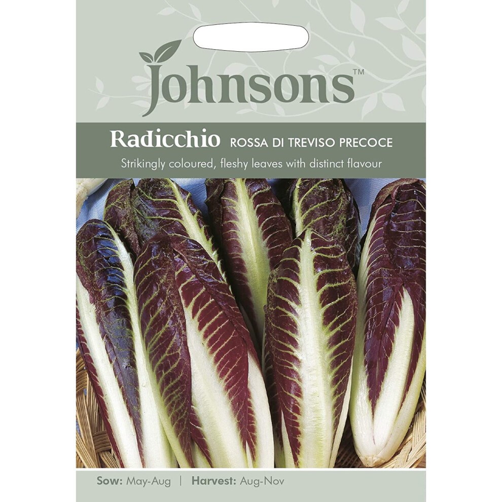 Packaged seeds for Radicchio Rossa Di Treviso Precoce featuring deep red, fleshy salad leaves, with a light green background and clear sowing and harvesting instructions.