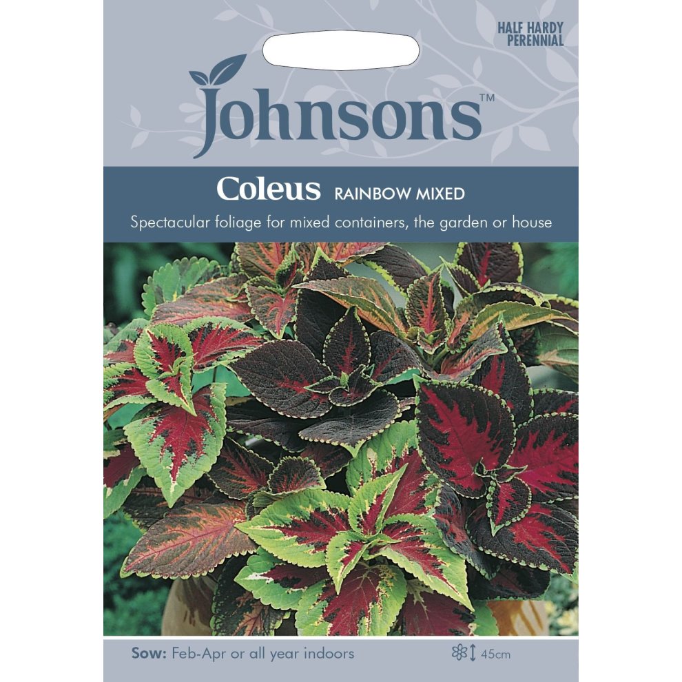 Pictorial seed packet featuring vibrant Coleus Rainbow Mixed plants with multicolored leaves in shades of green, red, and yellow, labeled with sowing instructions and plant details.