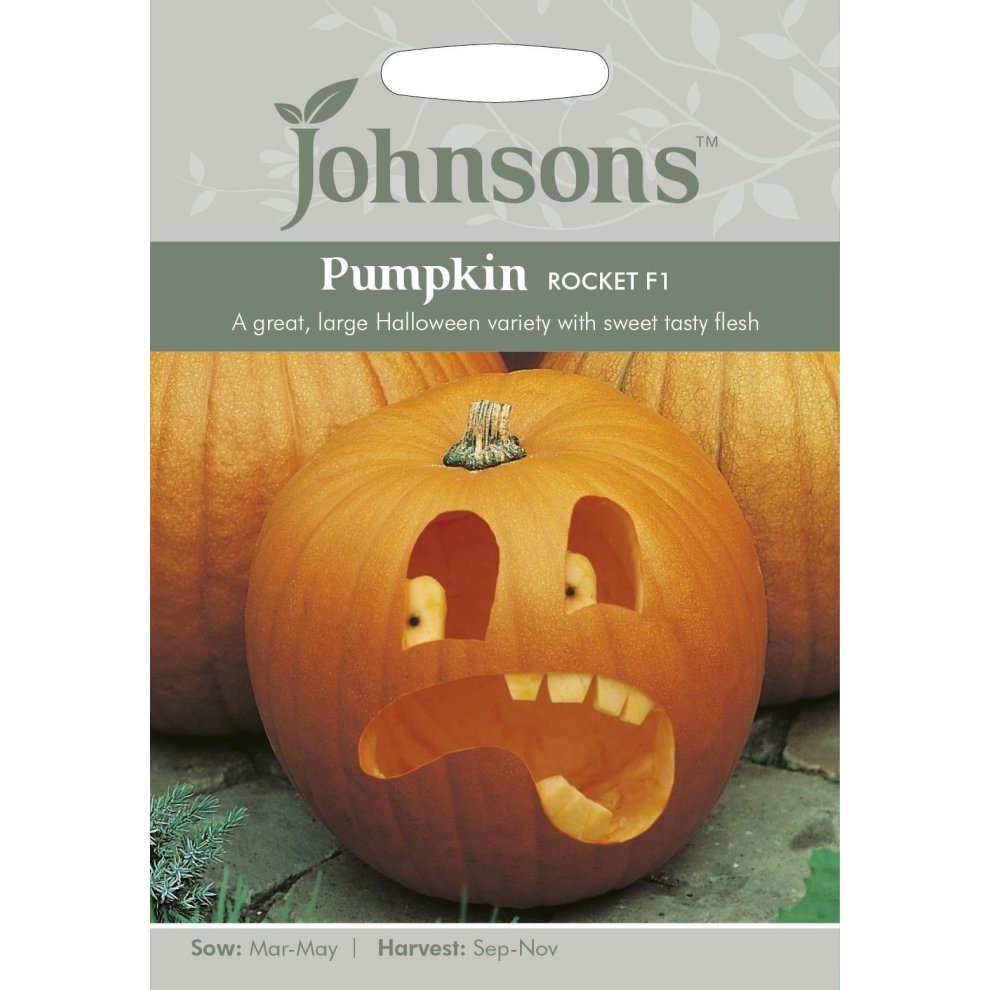 Pictorial seed pack featuring a carved pumpkin with a surprised face, surrounded by whole pumpkins, with green and gray branding and text detailing sowing and harvest times.