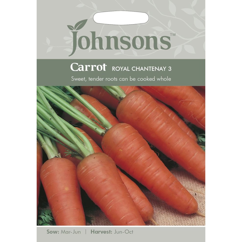 Pictorial seed packet featuring vibrant orange carrots with green tops, labeled "Johnsons Carrot Royal Chantenay 3," indicating sowing and harvest months.