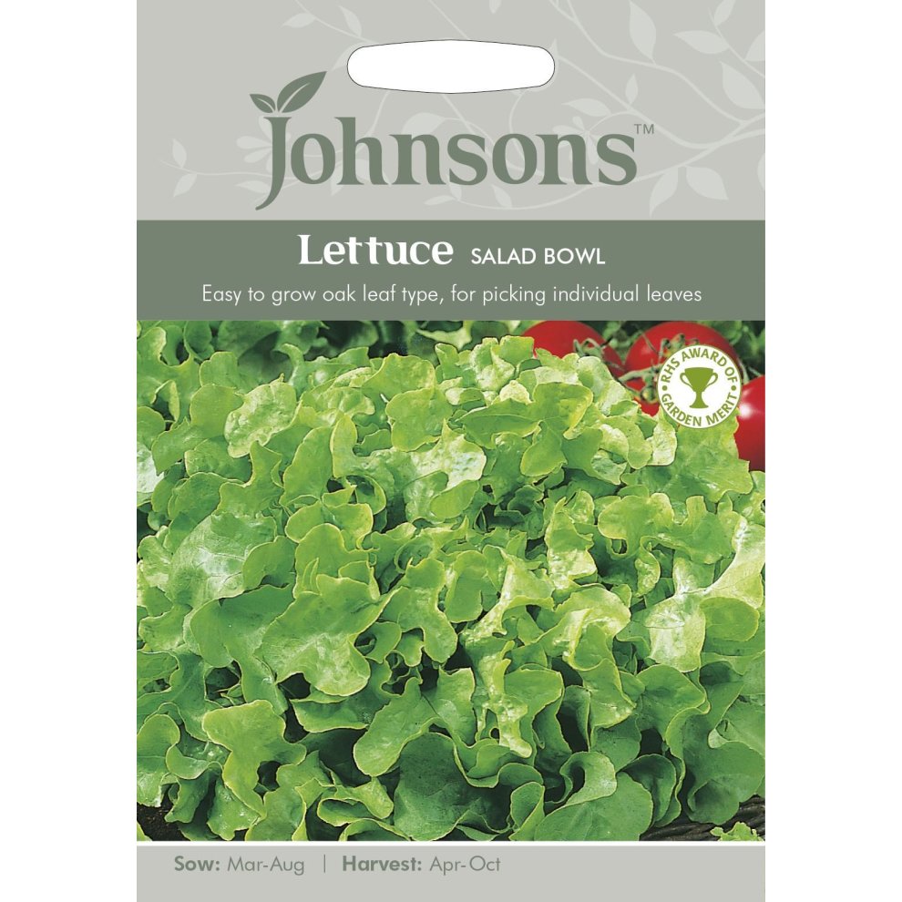 Johnsons Seeds Pictorial Pack features a vibrant green lettuce salad bowl, showcasing lush, oak leaf-type leaves, with sowing and harvesting details highlighted on a grey background.