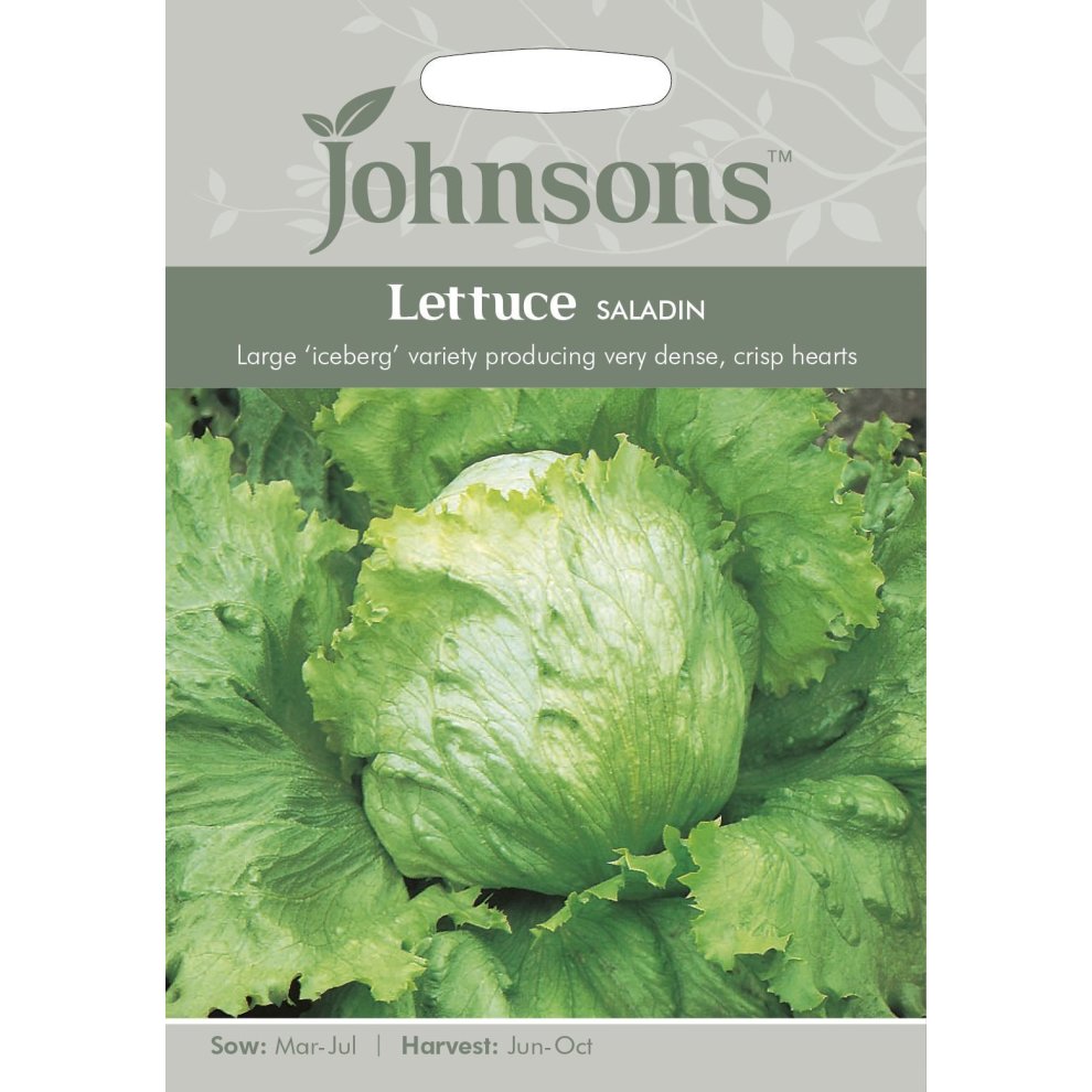 Pictorial seed packet featuring a large, green iceberg lettuce with crisp leaves, labeled "Lettuce Saladin" and detailing sowing and harvest months.