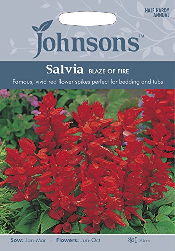 Bright blue packaging featuring "Johnsons" logo, with a vibrant image of red Salvia flowers and text detailing sowing and flowering information.