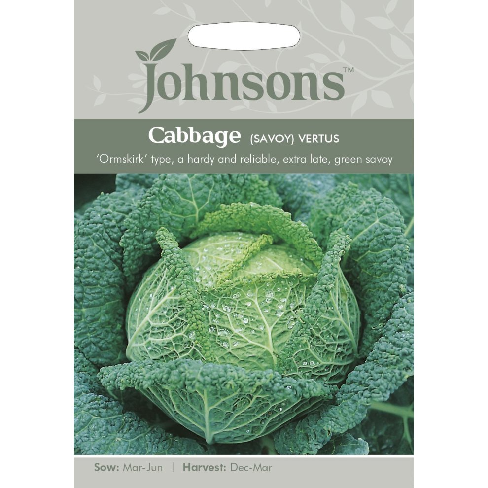 Green cabbage seeds pack featuring a detailed image of a Savoy cabbage with textured leaves, labeled "Cabbage (Savoy) Vertus" by Johnsons Seeds, with sowing and harvest details.