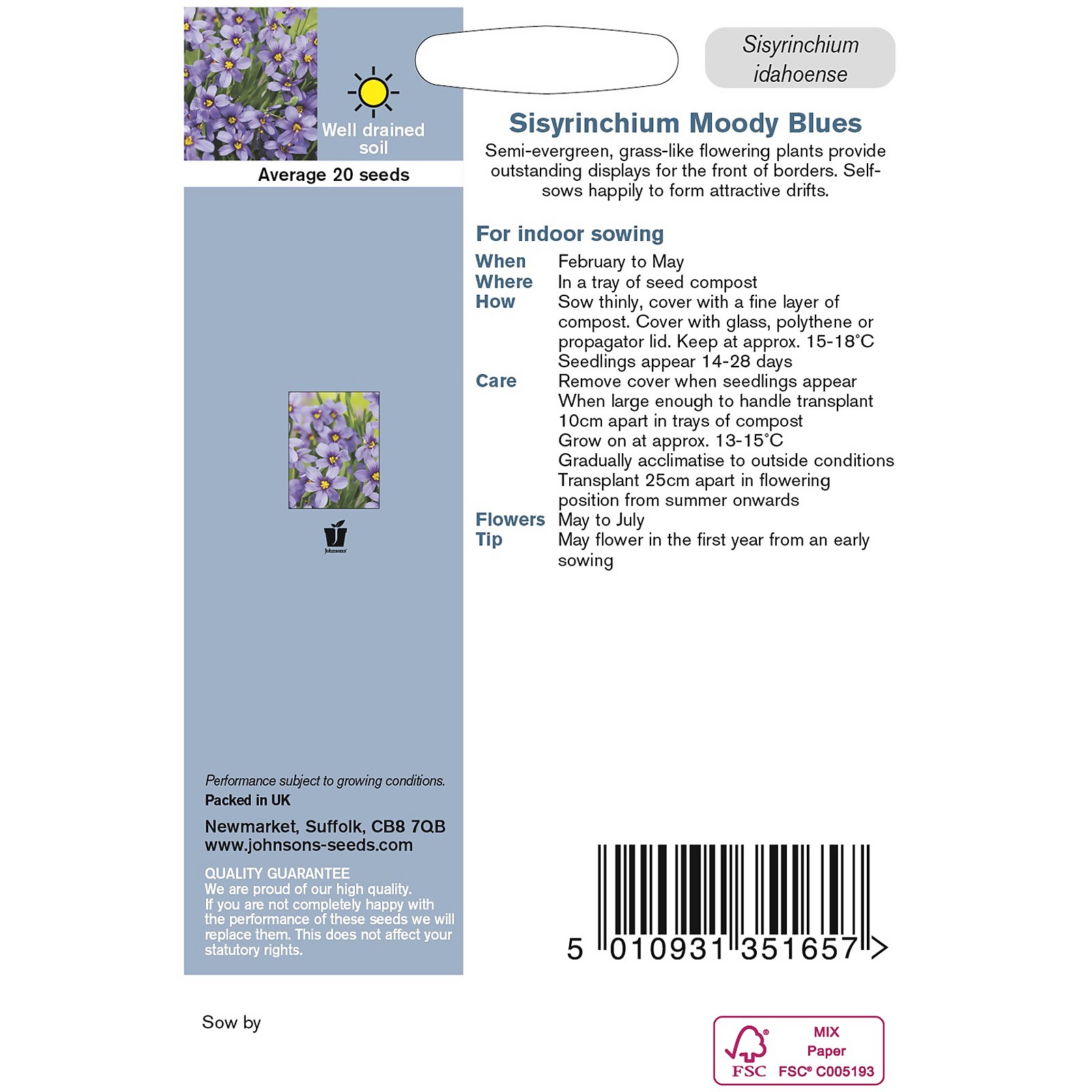Johnsons Sisyrinchium Moody Blues Flower Seeds - image 3