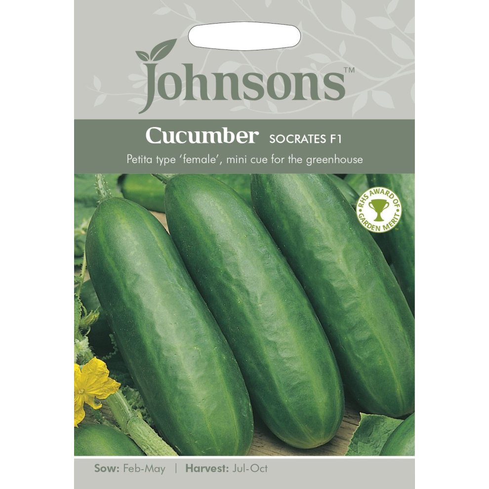 Green seed packet featuring "Johnsons" logo, labeled "Cucumber Socrates F1," with images of fresh cucumbers and details on sowing and harvesting times.