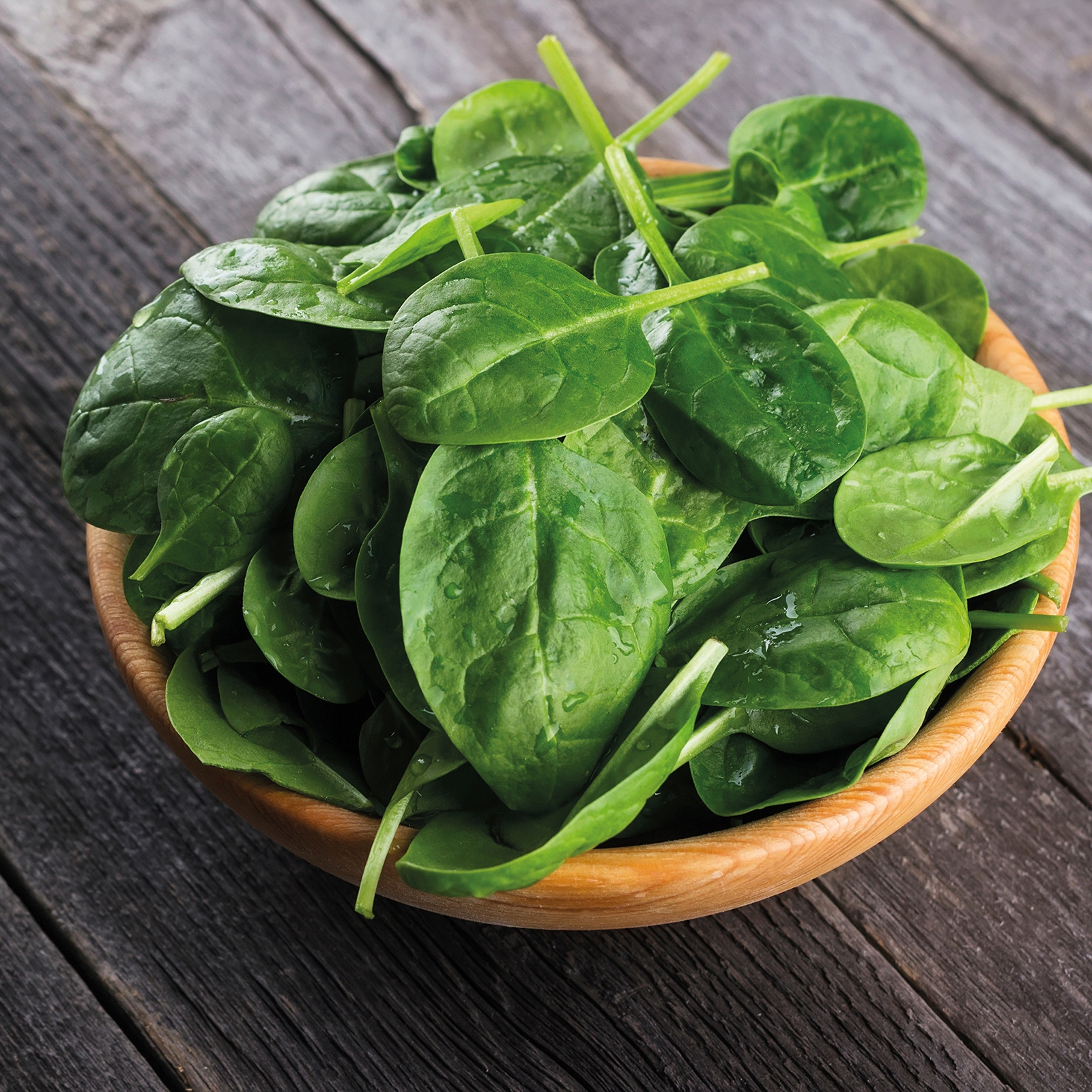 Johnsons Spinach Amador F1 Vegetable Seeds 300 Pack - image 2