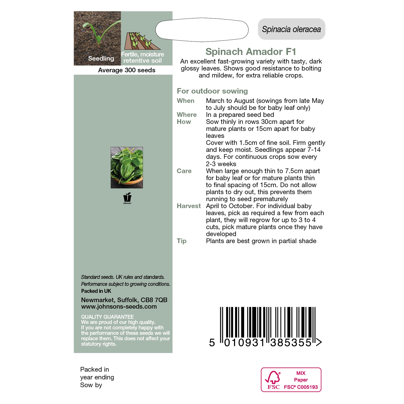 Johnsons Spinach Amador F1 Vegetable Seeds 300 Pack - image 3