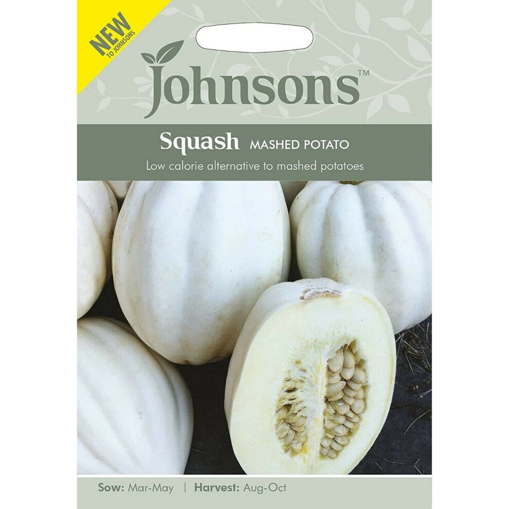 White packet featuring "Johnsons" logo, labeled "Squash Mashed Potato Seeds," with a cut-open squash showing seeds; background is light green with a subtle pattern.