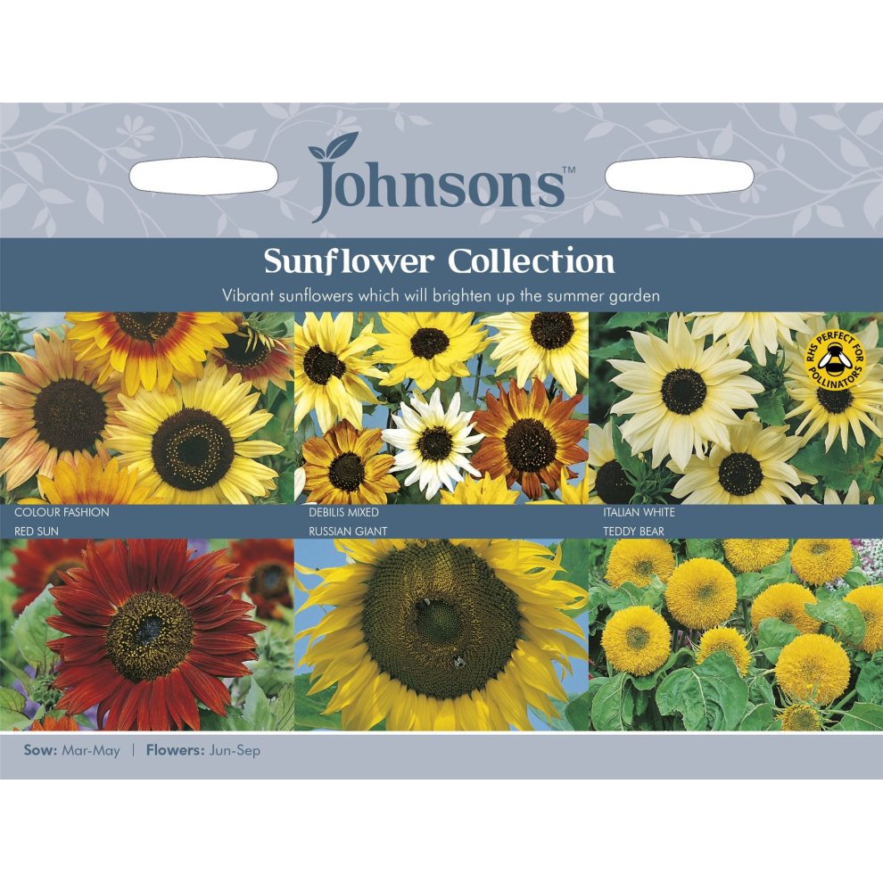 Pictorial seed pack featuring vibrant sunflowers in various colors, including red, yellow, and white, with images of the "Colour Fashion," "Russian Giant," and "Teddy Bear" varieties.