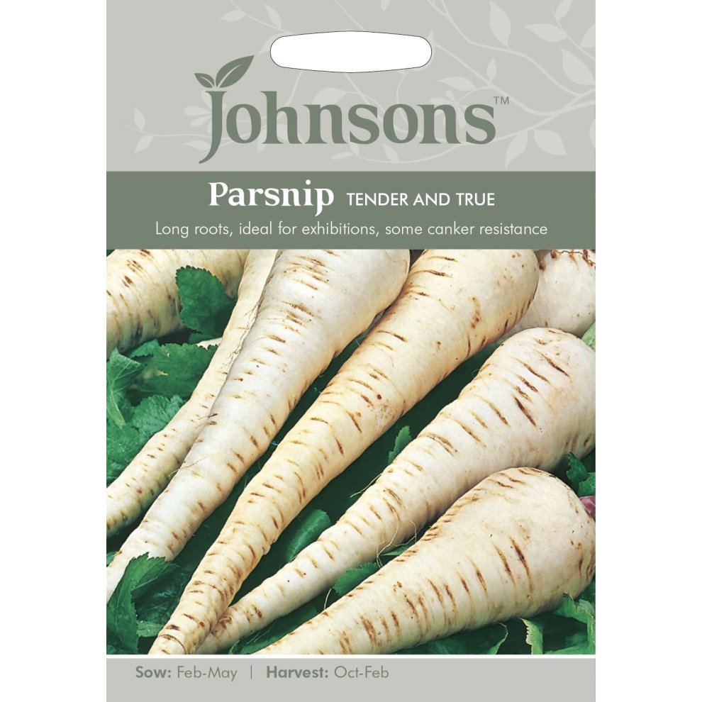 Packaged seeds for "Parsnip Tender and True" by Johnsons Seeds, featuring a green background, an illustration of long, pale parsnips, and text detailing sowing and harvesting times.