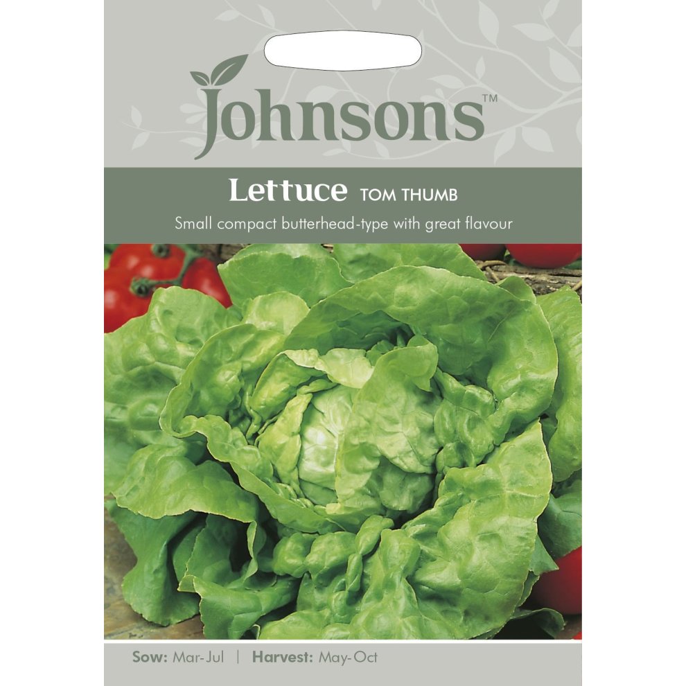 Pictorial seed packet featuring a vibrant green lettuce head, labeled "Lettuce Tom Thumb," with red tomatoes in the background and sowing and harvesting details.