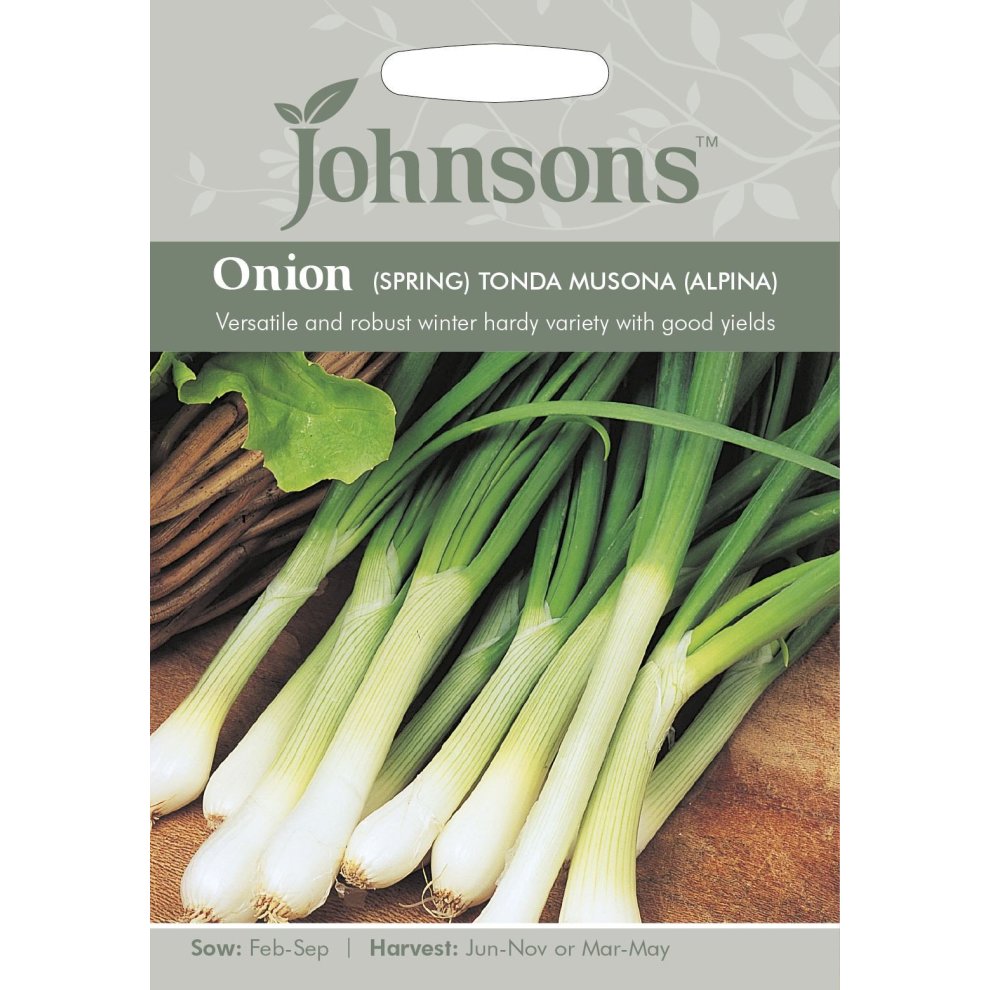 Pictorial seed packet for Johnsons Seeds featuring green spring onions with white bulbs, labeled "Onion (Spring) Tonda Musona (Alpina)" and details on sowing and harvesting.