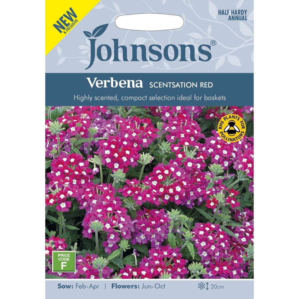 Brightly colored seed packet featuring "Johnsons Verbena Scentsation Red," showcasing vibrant pink and purple flowers, with planting details and a compact design for baskets.