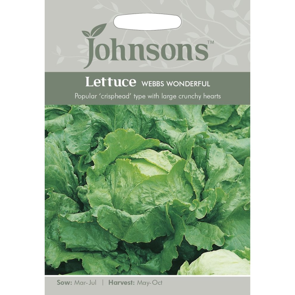 Johnsons Seeds pack featuring "Lettuce Webbs Wonderful," showcasing vibrant green lettuce leaves with a crisp texture, labeled with sowing and harvesting details.