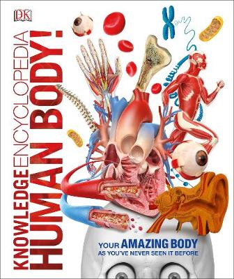 Colorful illustrations of the human body, including organs, cells, and anatomical structures, featured on a white background with bold text reading "Knowledge Encyclopedia Human Body!"