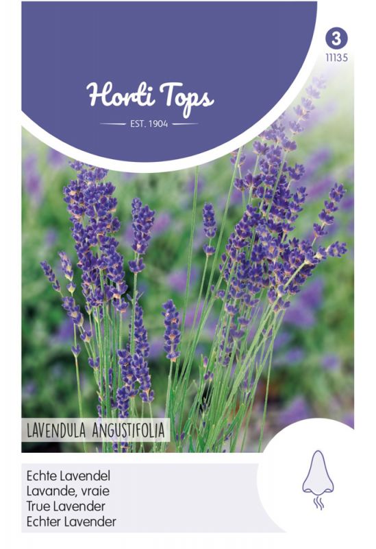 Purple lavender flowers with green stems, packaged in a white and purple label featuring the text "Horti Tops" and "Lavandula Angustifolia," indicating herb seeds.