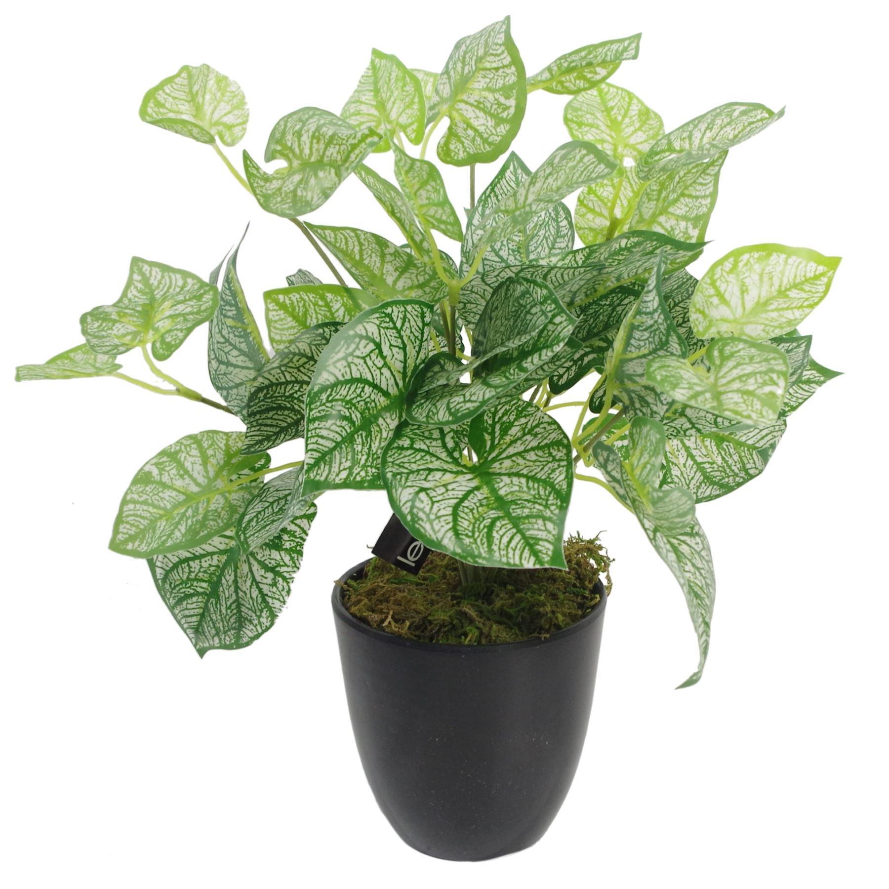 Artificial caladium plant with vibrant green and light green leaves featuring intricate patterns, set in a black pot with moss.
