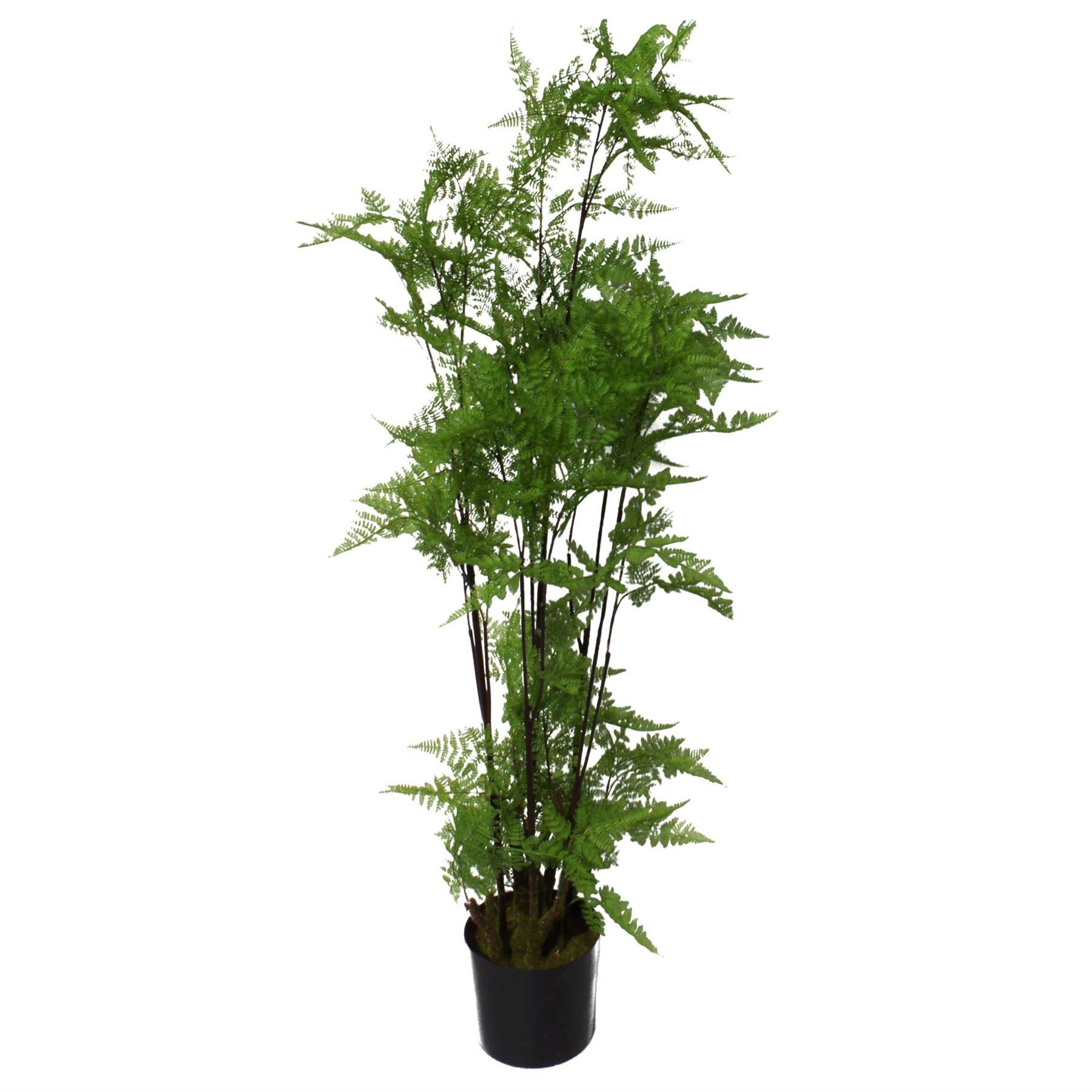 Tall artificial fern tree with lush green leaves, set in a black pot, featuring realistic moss details at the base, measuring 150 cm in height.