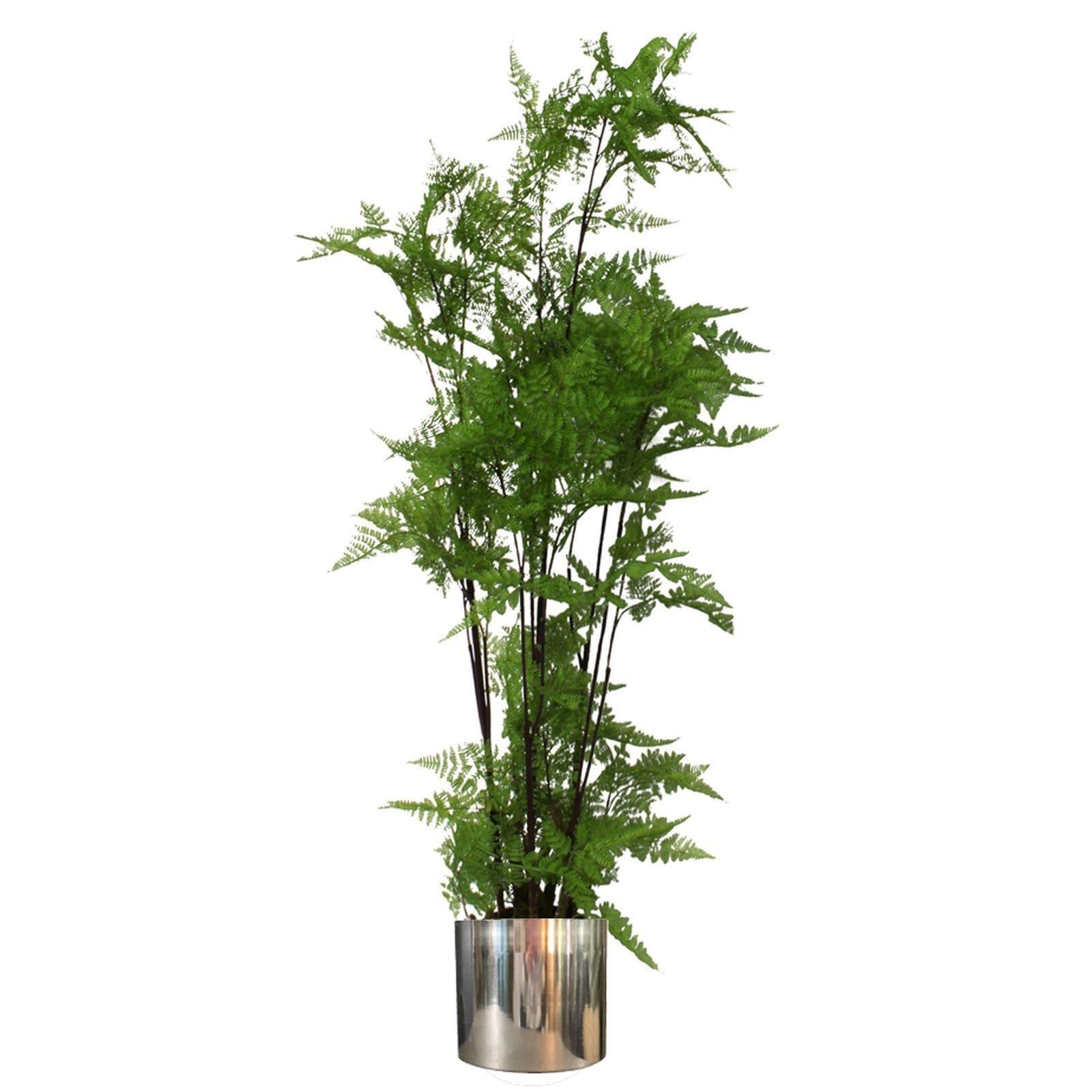 Tall artificial fern plant with vibrant green foliage, set in a sleek silver metal planter, measuring 150 cm in height.