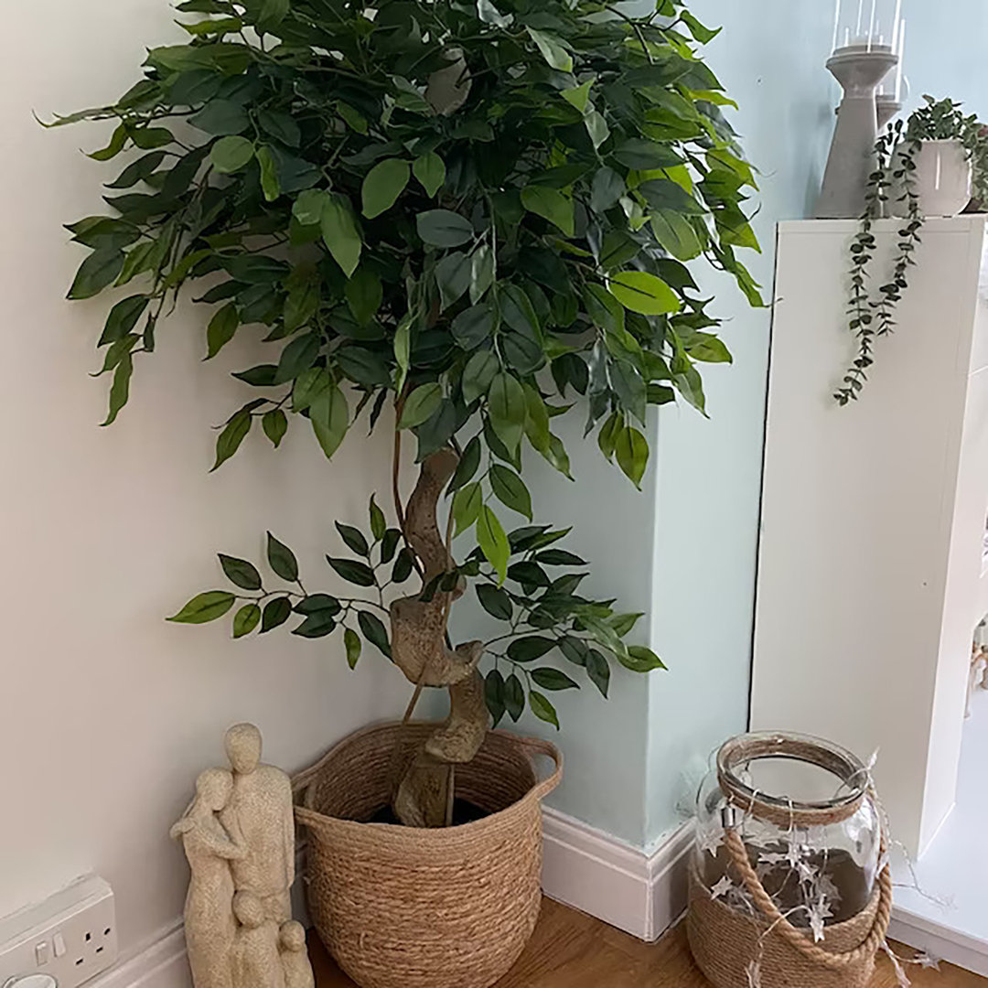 Artificial Japanese Fruticosa tree with lush green leaves, twisted trunk, and woven basket pot, standing 120 cm tall, enhancing indoor decor.