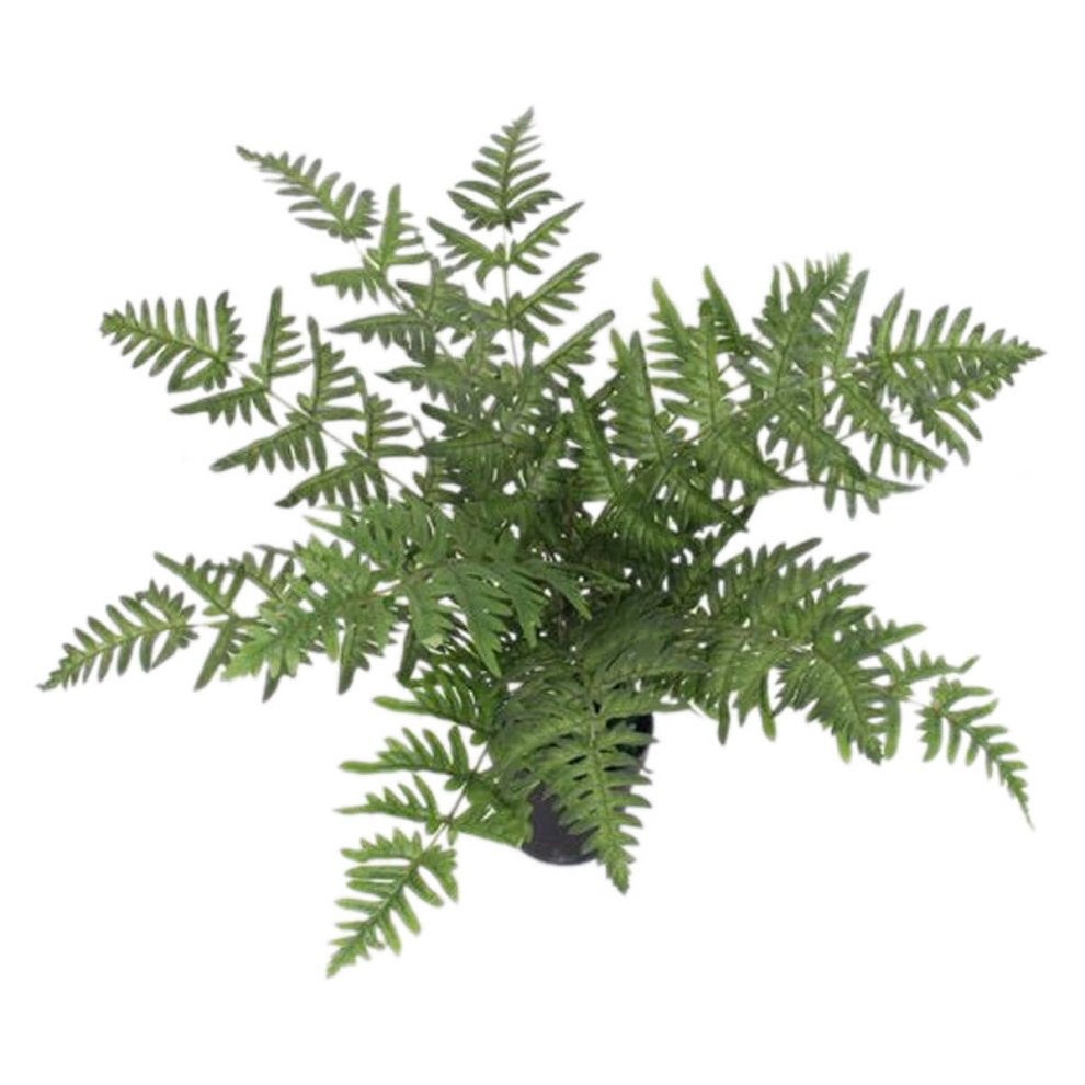 Large artificial green fern plant in a black pot, featuring lush, detailed fronds that mimic natural foliage, measuring 50 cm in height for a luxurious touch.