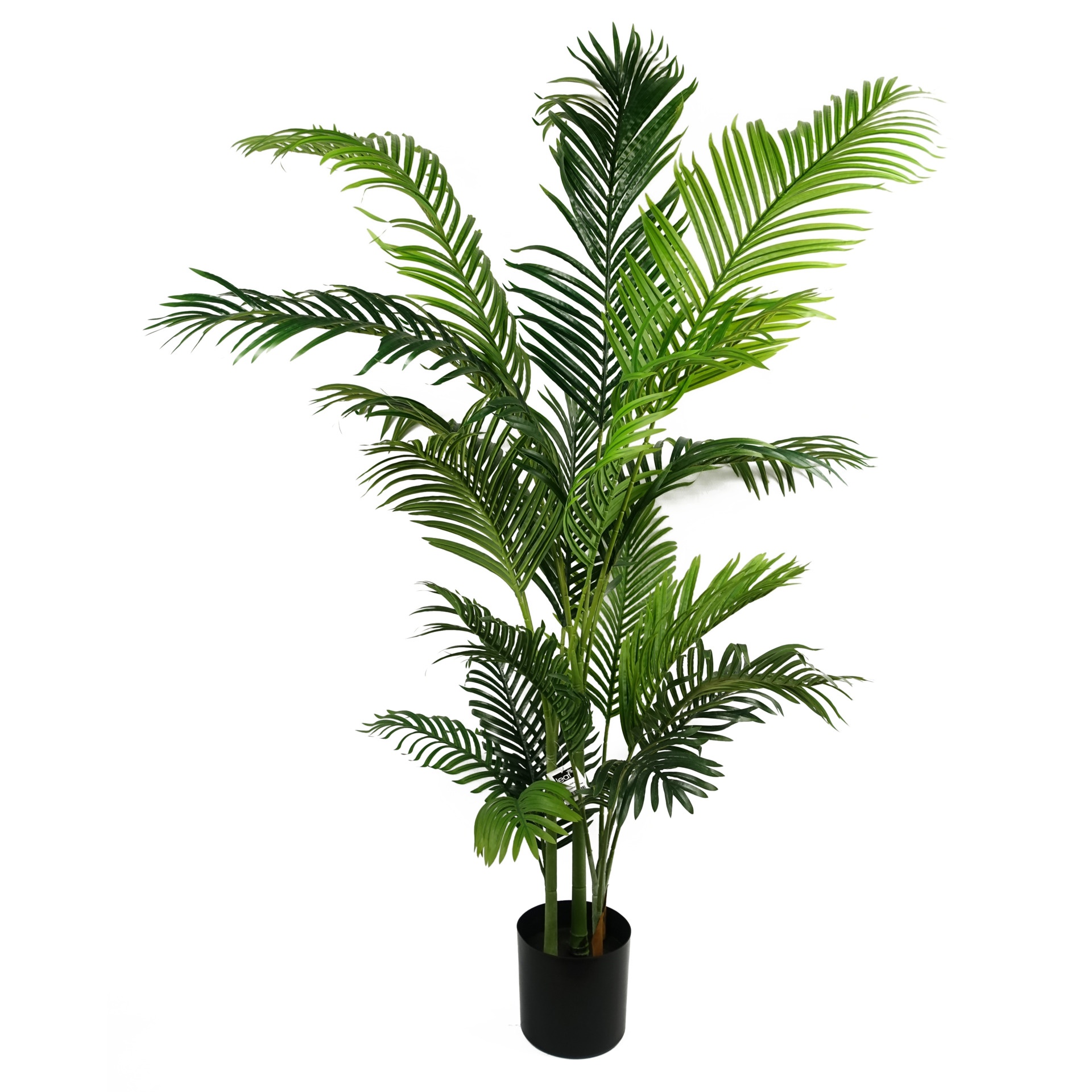 Extra large 180cm artificial palm tree with vibrant green fronds, featuring a realistic design in a black pot, ideal for home or office decor.