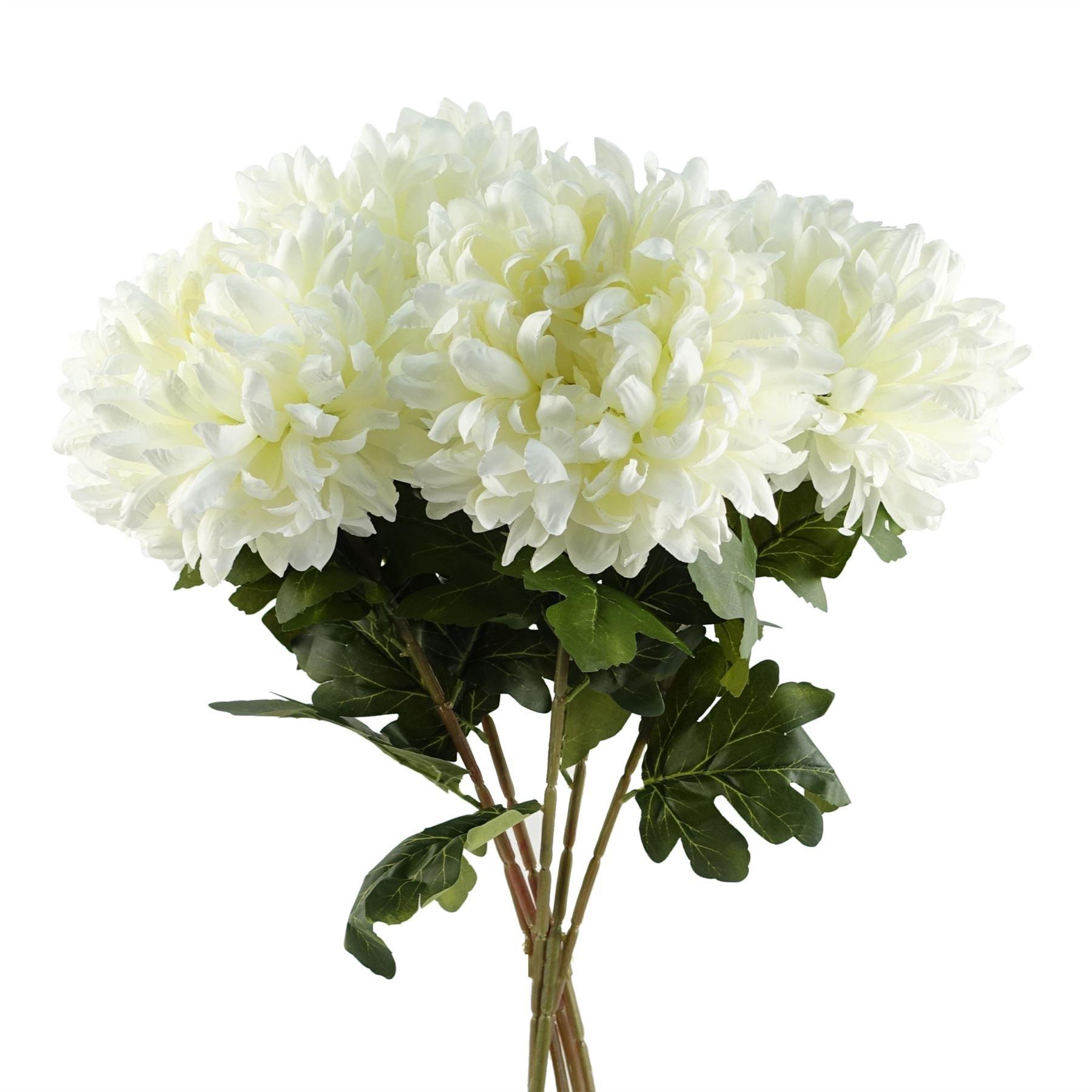Six extra-large white reflex chrysanthemums with lush green leaves, each stem measuring 75 cm, arranged in a bouquet style.