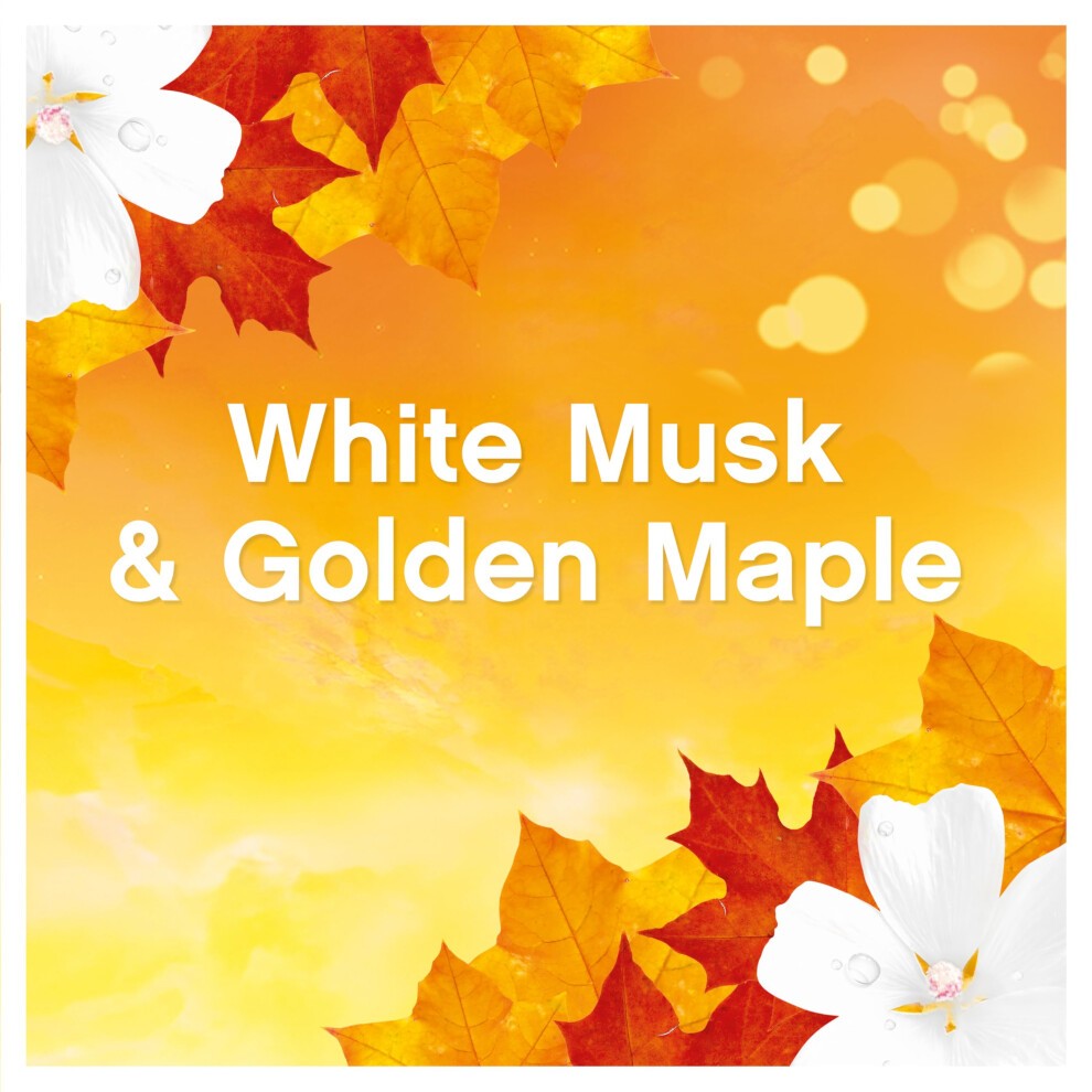 Lenor White Musk and Golden Maple In Wash Scent Booster Beads 570g - image 2
