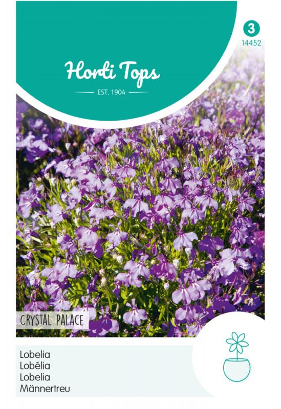Purple Lobelia flowers with delicate petals, displayed on a white background with green accents, featuring the "Hortitops" logo and product details in a clear layout.