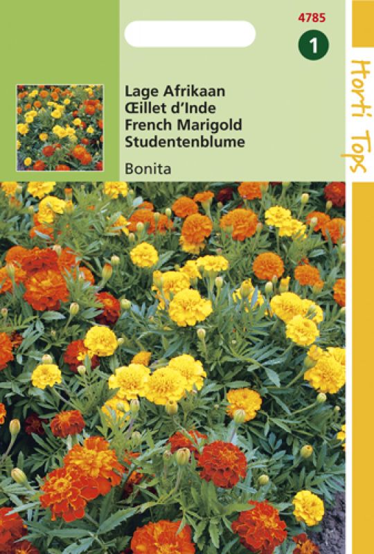 Brightly colored seed packet featuring vibrant orange and yellow marigold flowers with green foliage, labeled "Hortitops Bloemzaden - Afrikaan (Tagetes)" by De Ree.