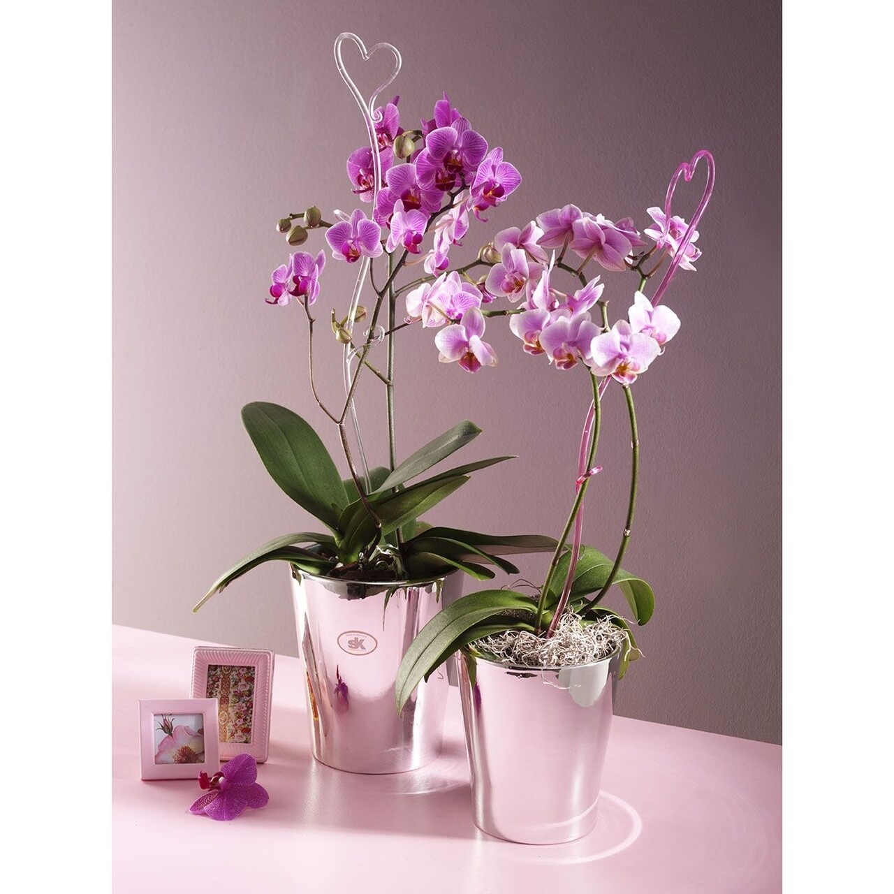 Merina Orchid Vase - Vanilla - image 2