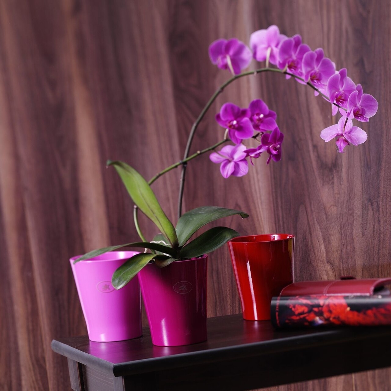 Merina Orchid Vase - Vanilla - image 4