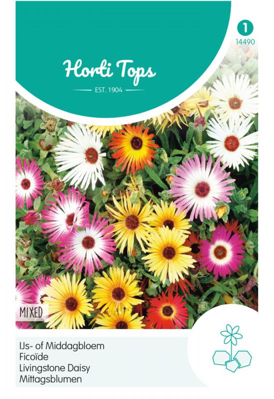 Colorful packet of mixed Mesembryanthemum flower seeds featuring vibrant pink, orange, and white flowers, with a green and blue design and text detailing the product name and type.