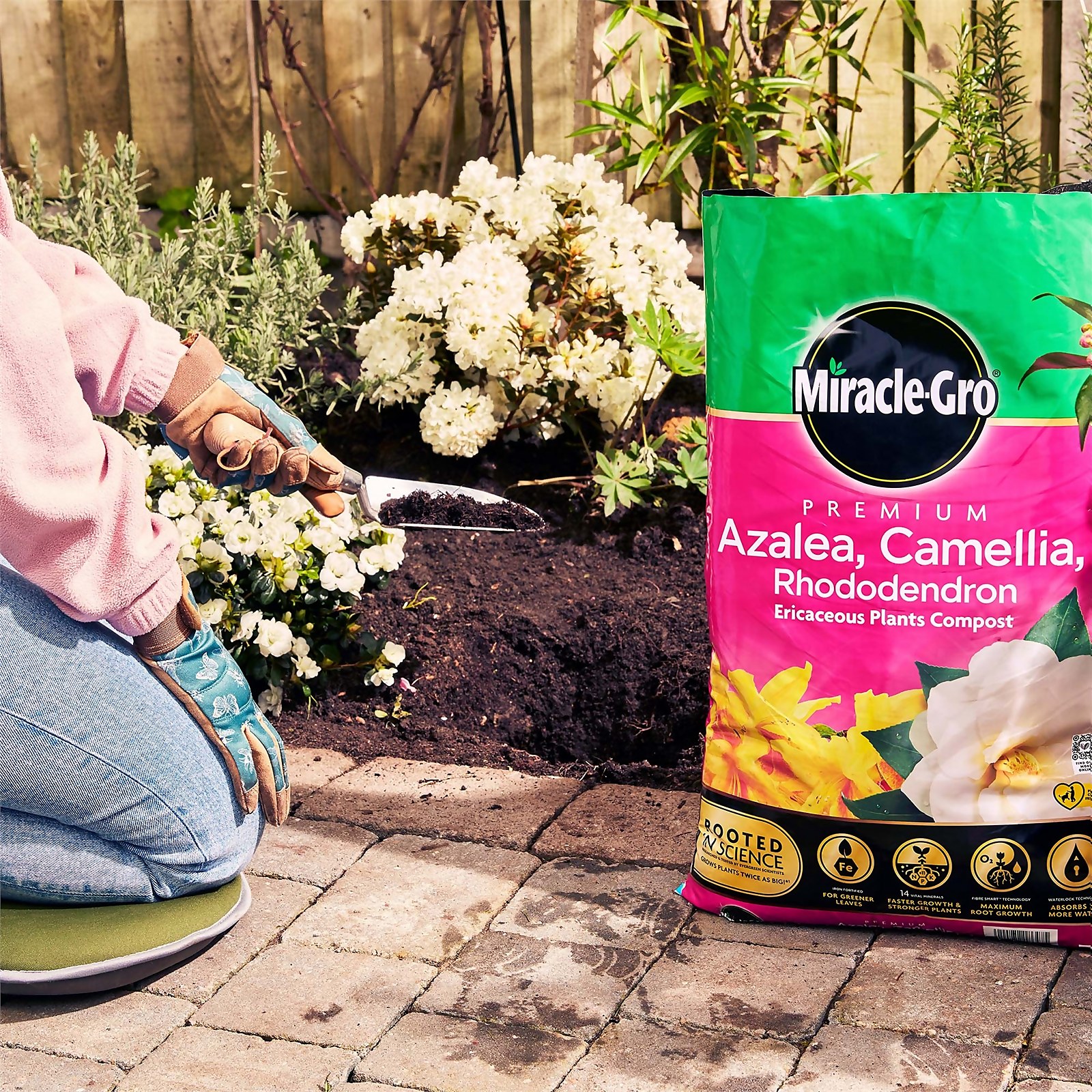 Miracle-Gro 40L Premium Azalea Camellia Rhododendron Ericaceous Compost - image 4