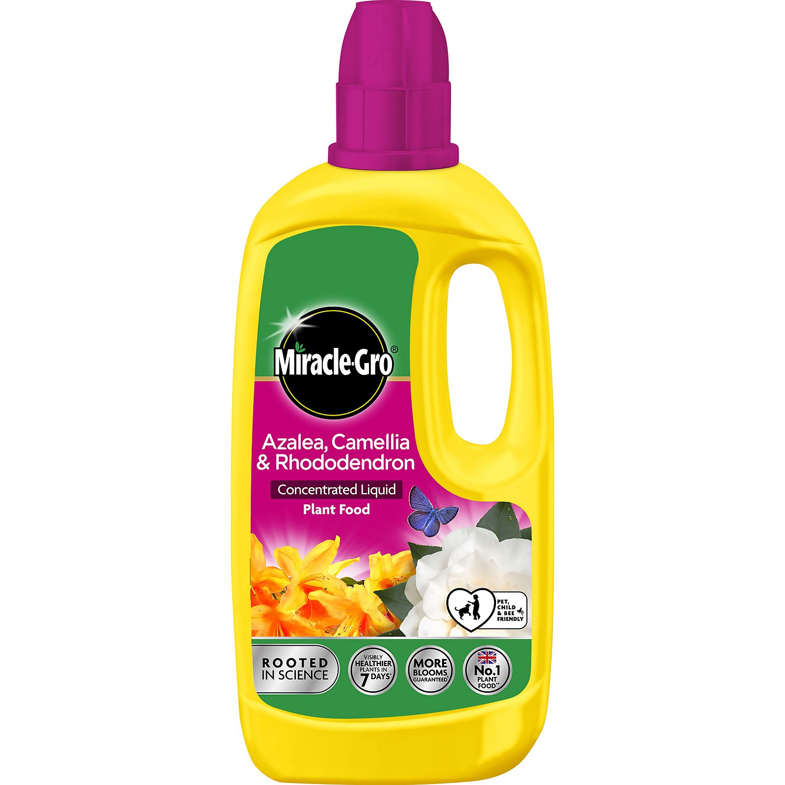 Bright yellow plastic bottle of Miracle-Gro Azalea Concentrated Liquid Plant Food, featuring a pink cap, with floral graphics and text highlighting its use for azaleas and rhododendrons.