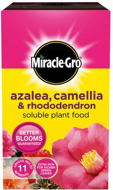Bright pink and yellow box of Miracle-Gro Azalea, Camellia & Rhododendron Soluble Plant Food, featuring bold text and images of flowers, with a 1kg weight indication.