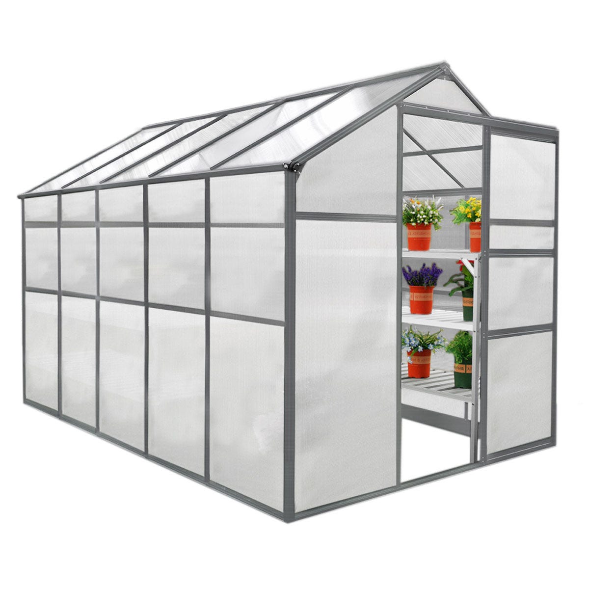 A 6ft x 10ft greenhouse featuring a sturdy gray frame, transparent panels, and multiple shelves with potted plants inside, designed for optimal light and ventilation.